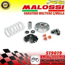 Variatore malossi multivar - malossi,