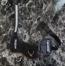 PETTORINA JULIUS-K9 MAI USATA