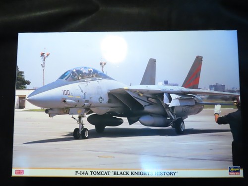 Hasegawa 14a tomcat - 1/48,