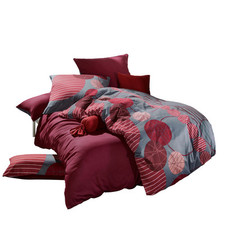 Lenzuolo reversibile Erwin