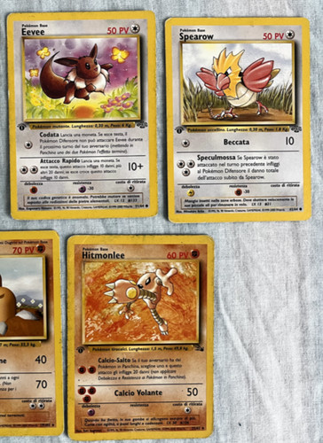 Pokemon card lotto carte - card,
