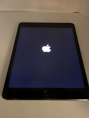 Apple ipad mini grigio - ipad,