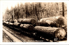Postcard Train of Douglas Fir