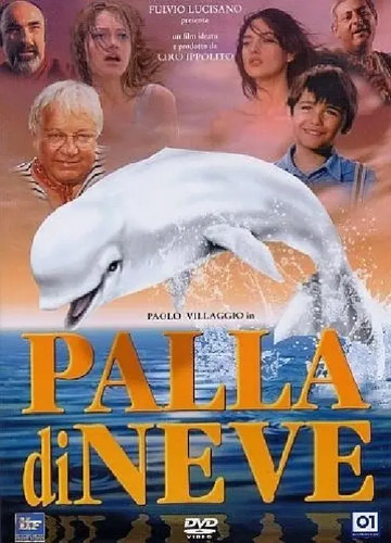 Dvd palla neve con - con, paolo