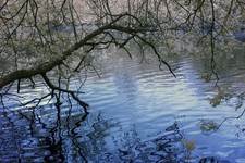 Corpo fotocamera Canon 400D