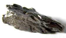 GENUINE CAMPO DE CIELO