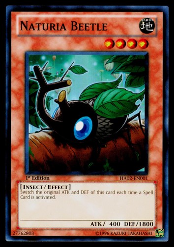Naturia beetle ha02 en001 lp - ha02-en001,