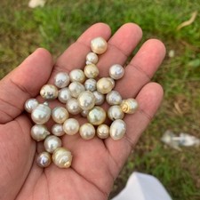 144 Pezzi Cerchio Barocco