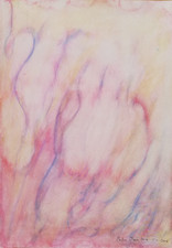 PAOLO PASOTTO: Olio 50x35