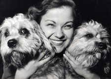 Foto vintage Francia, Mostra Internazionale canile, Cane, 1954