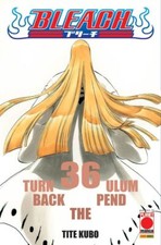 Bleach 36