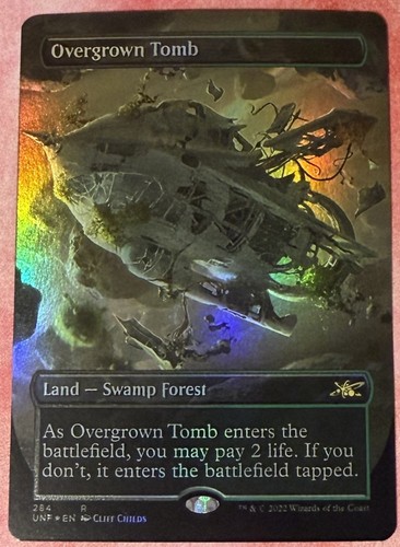 Mtg overgrown tomb borderless - overgrown,