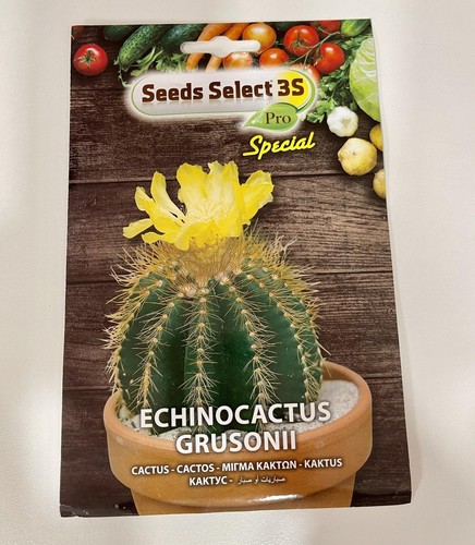 Semi echinocactus grusonii - di,