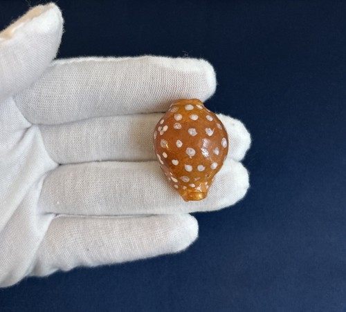 Argilla fatta mano cypraea - fatta,