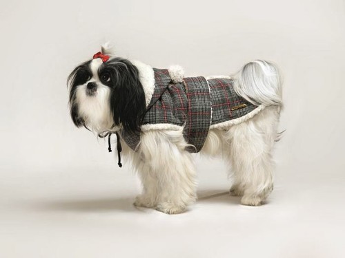 Cappottino per cani cuccicù - cappottino,