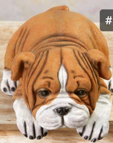 Statuina bulldog shelf sitter - bulldog,