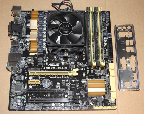 Pacchetto scheda madre - , asus