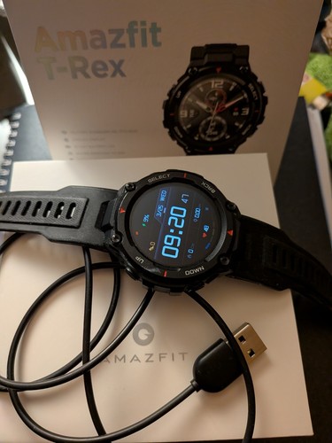 Amazfit rex - t,