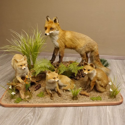 Fuchs amiglia cuccioli - fuchs, 3