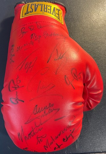 15x guantone boxe firmato - guantone,