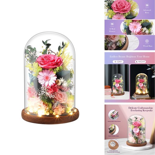 Laladeyek rosa eterna - rosa,