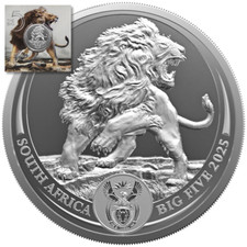 Moneta Argento Sudafrica Big