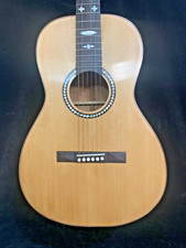Chitarra acustica Blueberry