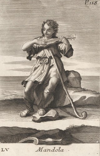 Mandolino bonanni strumenti - mandolino,