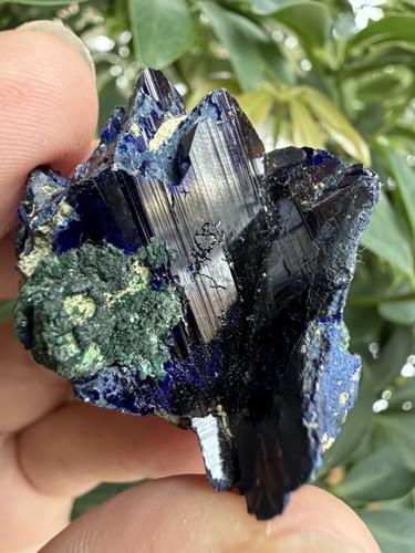 Cristalli azurite con - azurite,