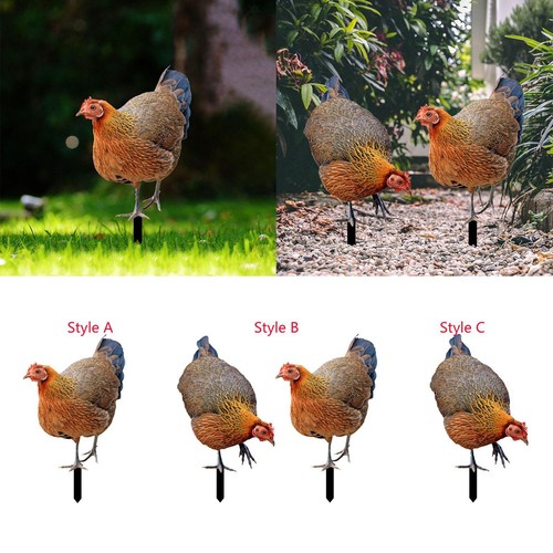Hen garden cortile arte - garden,