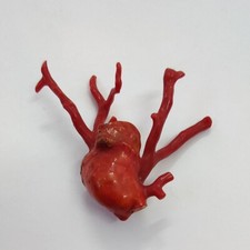 Brillante Italia Ramo di