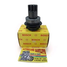 1006209917 1006209579 PIGNONE