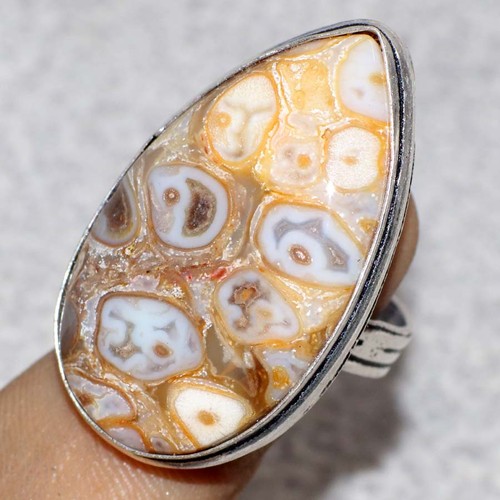 Anello fossile roccia
