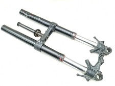 AVANTRENO COMPLETO "RECUPERO