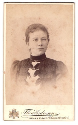 Fotografia andersen - fotografia, th.