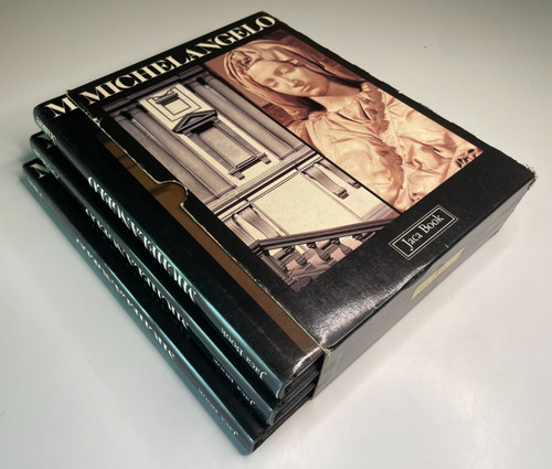 Michelangelo pittore - michelangelo,,