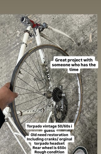 Telaio stradale torpado - telaio,