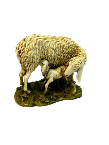 Pecora con agnello landi - pecora,