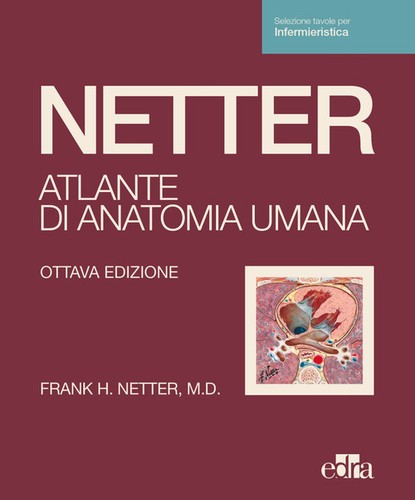 Netter atlante anatomia - netter., di