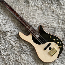 Custom Standard 5 Corde