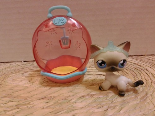 Littlest pet shop gatto - littlest,