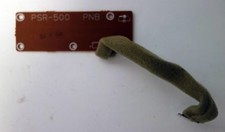 Yamaha PSR-500 Scheda PNB 2