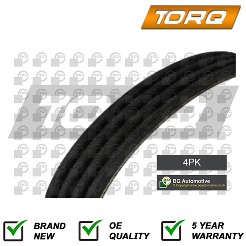 Cinghia alternatore torq - cinghia,