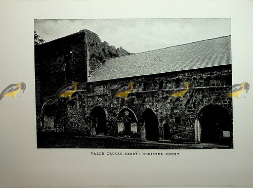 Chiostri abbazia valle crucis - chiostri,