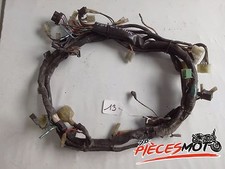 Fascio Elettrico Kawasaki 750