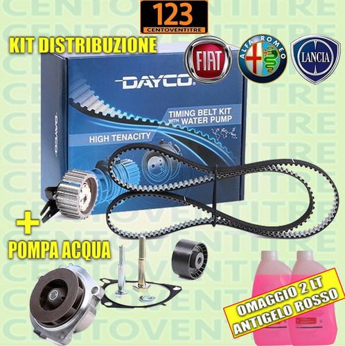 Kit distribuzione fiat sedici - kit,