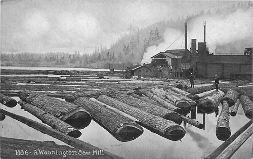Cartolina washington segheria - washington,