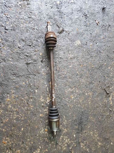 Albero trasmissione - di,