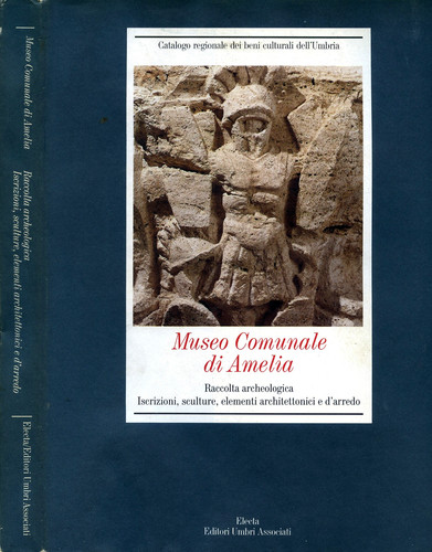 Museo comunale amelia - museo,