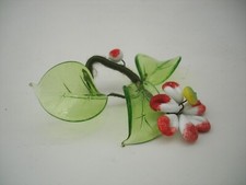 Pratolina fiore bianco rosso